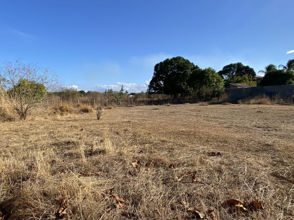 TERRAIN A VENDRE